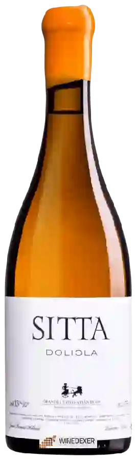 Winery Attis - Sitta Doliola