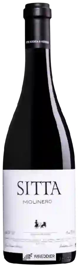 Winery Attis - Sitta Finca El Molinero Winery Attis - Sitta Finca El Molinero
