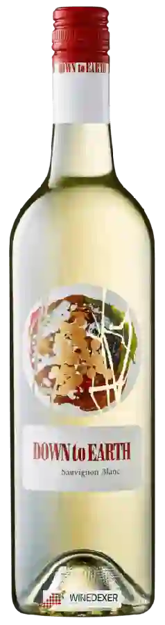 Winery Terre à Terre - Down To Earth Sauvignon Blanc Winery Terre à Terre - Down To Earth Sauvignon Blanc