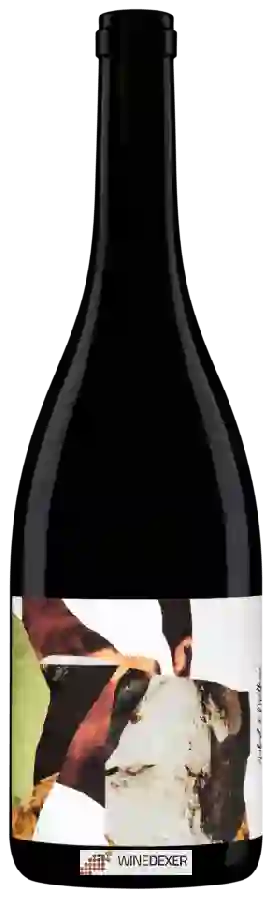 Winery Aubert et Mathieu - Terrasses du Larzac