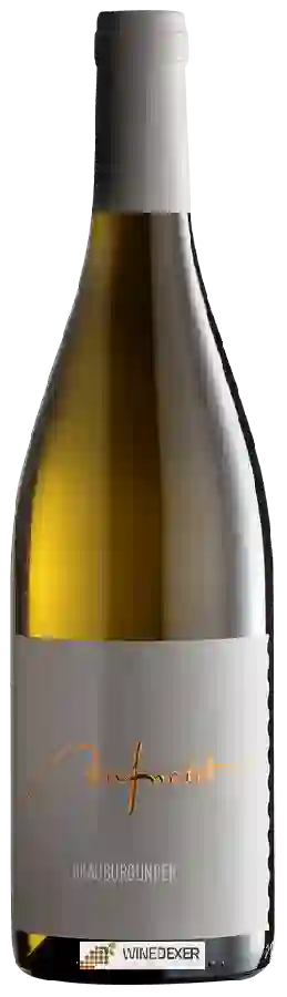 Winery Aufricht - Grauburgunder