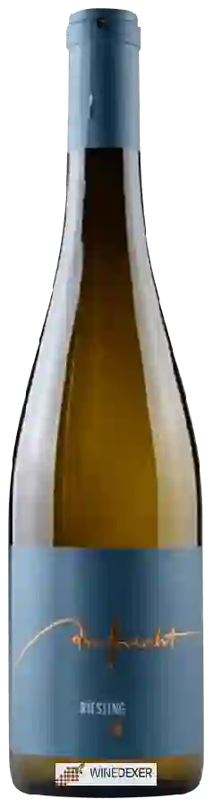 Winery Aufricht - Riesling