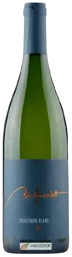 Winery Aufricht - Sauvignon Blanc