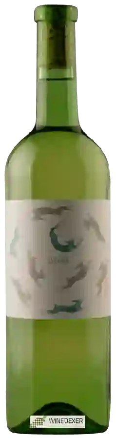 Winery Aufricht - Seehas