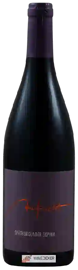 Winery Aufricht - Spätburgunder Sophia