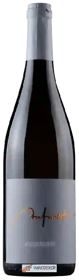 Winery Aufricht - Weissburgunder