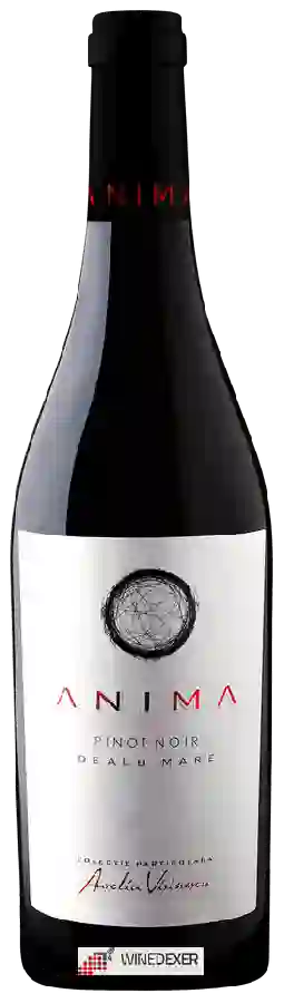 Winery Aurelia Vișinescu - Anima Pinot Noir Winery Aurelia Vișinescu - Anima Pinot Noir