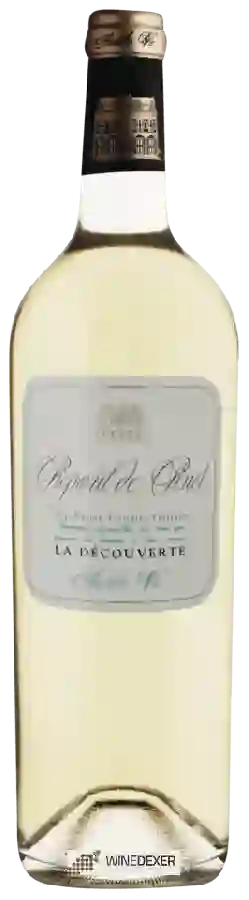 Winery Aurelie Vic - La Découverte Picpoul de Pinet