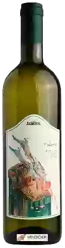 Winery Aurora - Falerio