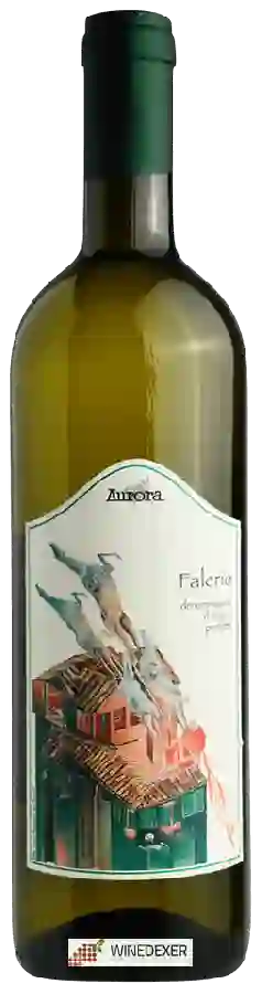 Winery Aurora - Falerio