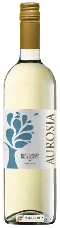 Winery Aurosia - Pinot Grigio Winery Aurosia - Pinot Grigio