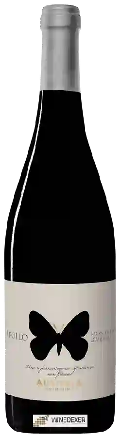 Winery Ausonia - Apollo Montepulciano d'Abruzzo