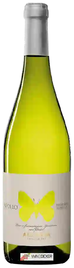 Winery Ausonia - Apollo Trebbiano d'Abruzzo Winery Ausonia - Apollo Trebbiano d'Abruzzo