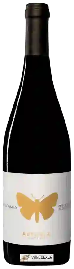 Winery Ausonia - Nostradamus Montepulciano d'Abruzzo Colline Teramane Winery Ausonia - Nostradamus Montepulciano d'Abruzzo Colline Teramane