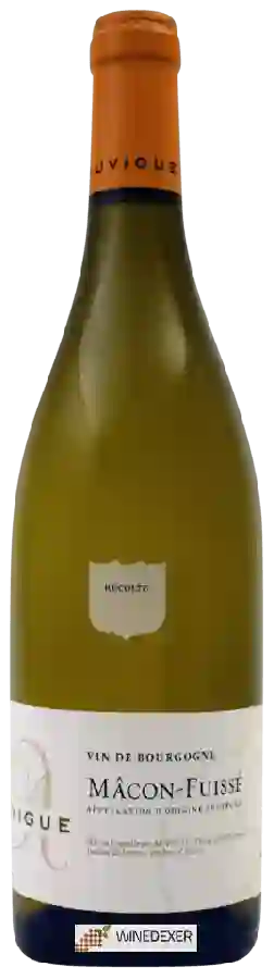 Winery Auvigue - Mâcon-Fuissé Winery Auvigue - Mâcon-Fuissé