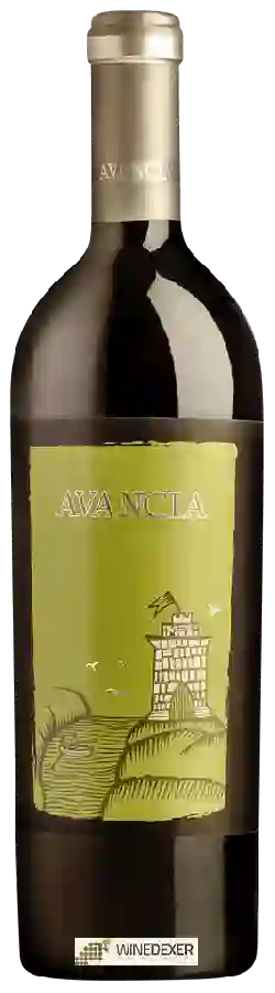 Winery Avancia - Mencia