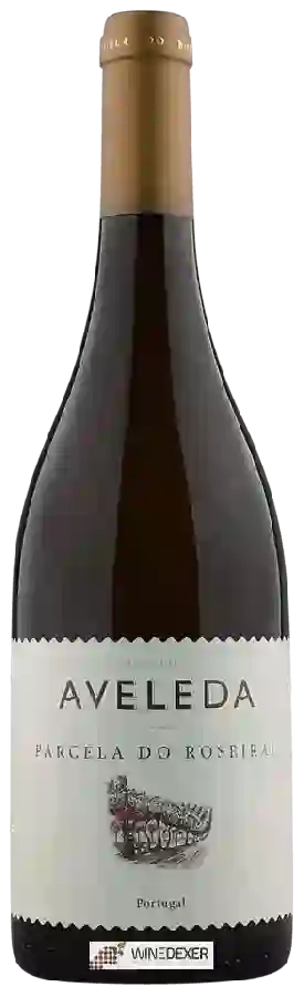 Winery Aveleda - Parcela do Roseiral