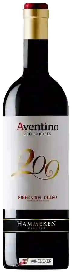 Winery Aventino - 200 Barrels