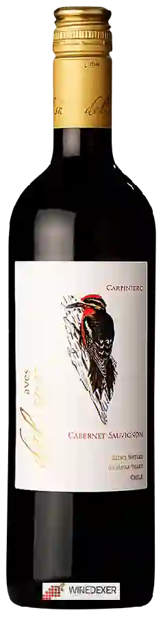 Winery Aves del Sur - Cabernet Sauvignon Winery Aves del Sur - Cabernet Sauvignon