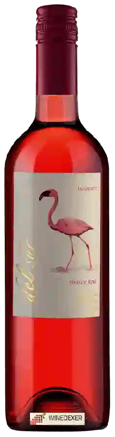 Winery Aves del Sur - Merlot Rosé Winery Aves del Sur - Merlot Rosé