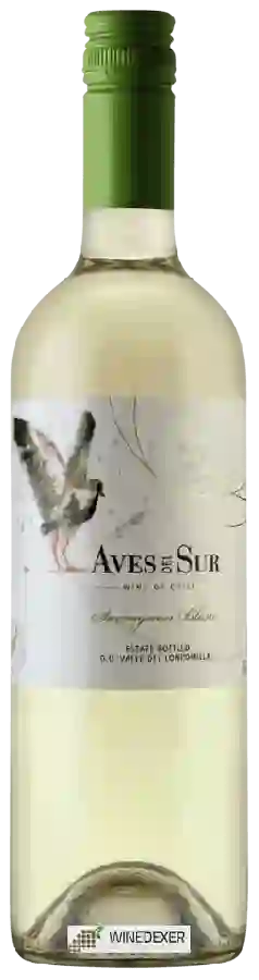 Winery Aves del Sur - Sauvignon Blanc Winery Aves del Sur - Sauvignon Blanc