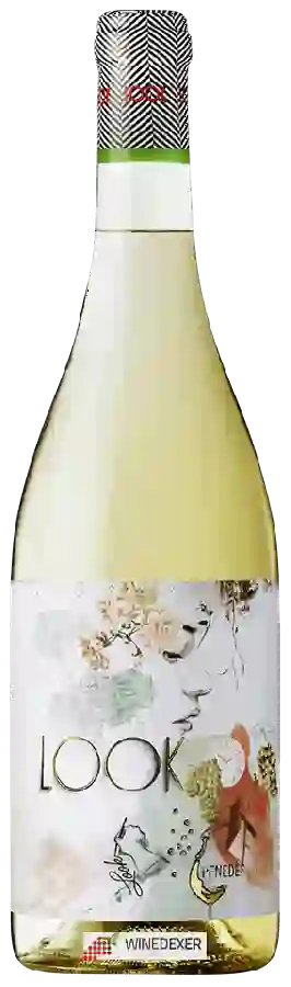 Winery Avgvstvs - Look