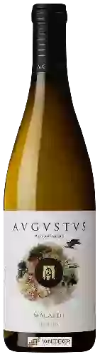 Winery Avgvstvs - Macabeu