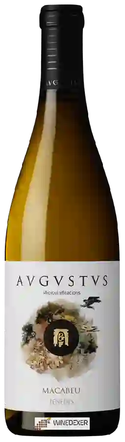 Winery Avgvstvs - Macabeu Winery Avgvstvs - Macabeu