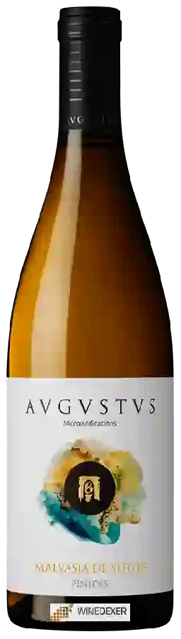 Winery Avgvstvs - Malvasia de Sitges