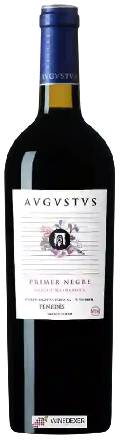 Winery Avgvstvs - Primer Negre