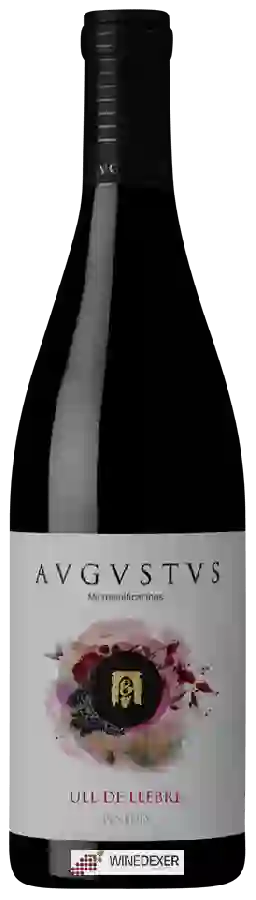 Winery Avgvstvs - Ull de Llebre Winery Avgvstvs - Ull de Llebre