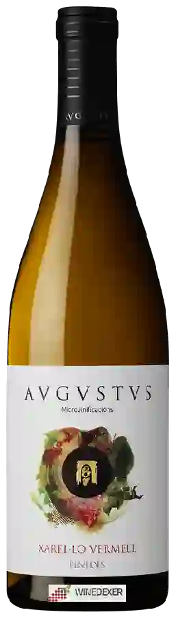 Winery Avgvstvs - Xarel-Lo Vermell