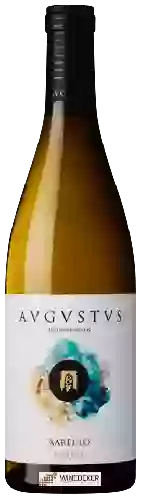 Winery Avgvstvs - Xarel-lo