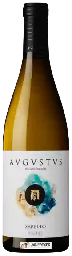 Winery Avgvstvs - Xarel-lo