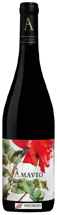 Winery Ávidos - Amávio