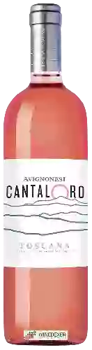Winery Avignonesi - Cantaloro Rosato