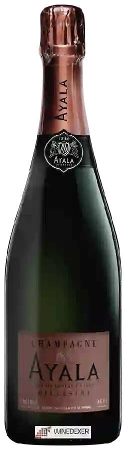 Winery Ayala - Millésimé Brut Aÿ Champagne Winery Ayala - Millésimé Brut Aÿ Champagne