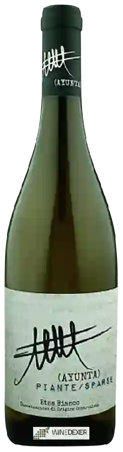Winery Ayunta - Piante Sparse Etna Bianco Winery Ayunta - Piante Sparse Etna Bianco