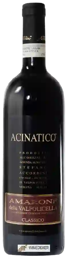 Winery Stefano Accordini - Acinatico Amarone della Valpolicella Classico Winery Stefano Accordini - Acinatico Amarone della Valpolicella Classico