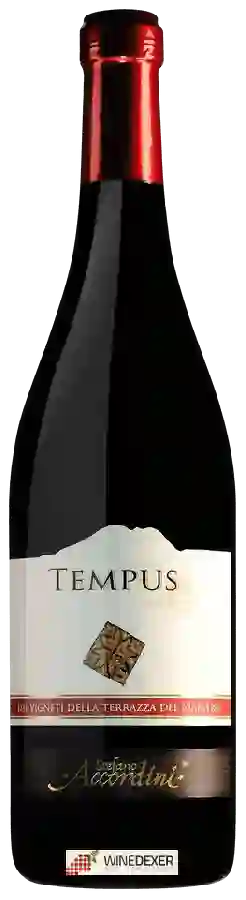 Winery Stefano Accordini - Tempus Winery Stefano Accordini - Tempus