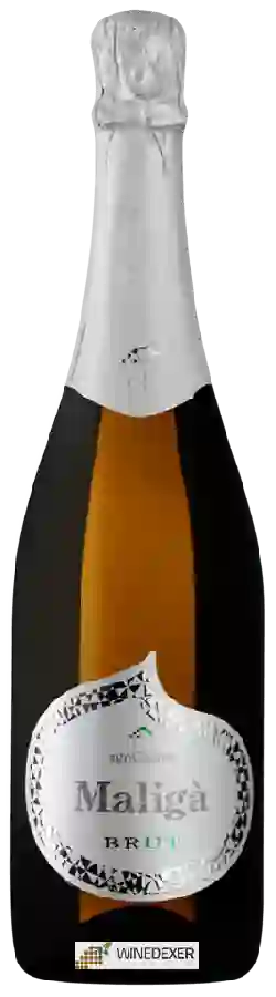 Winery Azienda Agricola Agricosimo - Maligà Winery Azienda Agricola Agricosimo - Maligà