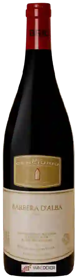 Winery Bric Cenciurio - Barbera d'Alba Winery Bric Cenciurio - Barbera d'Alba