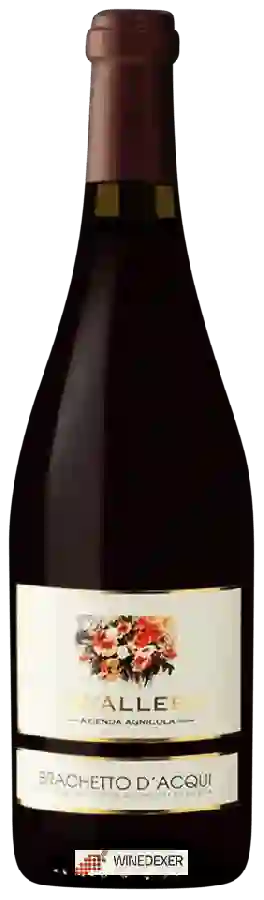 Winery Azienda Agricola Cavallero - Brachetto d'Acqui