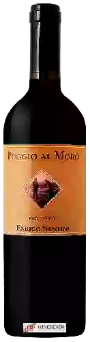 Winery Enrico Santini - Poggio al Moro