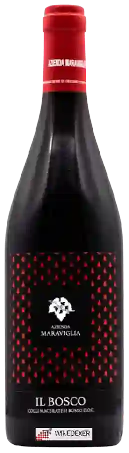 Winery Azienda Agricola Maraviglia - Il Bosco Colli Maceratesi Rosso