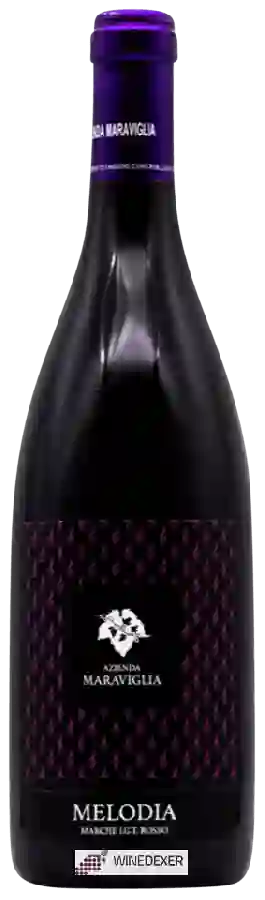 Winery Azienda Agricola Maraviglia - Melodia Marche Rosso