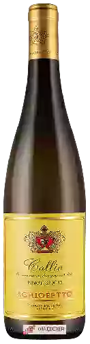 Winery Schiopetto - Collio Pinot Grigio