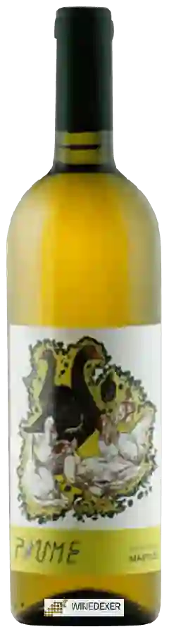 Winery Martilde - Piume