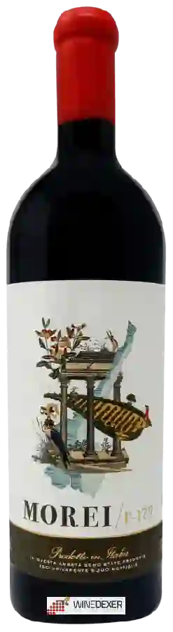 Winery Azienda Agricola Morei - Morei / P-179