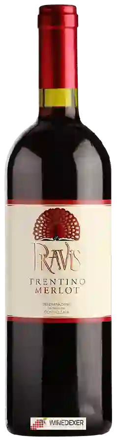 Winery Pravis - Merlot Trentino Winery Pravis - Merlot Trentino